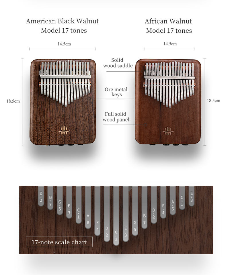 Kalimba Elettrica A-17 in Noce - Musical Instrument Percussion recensione e prezzo