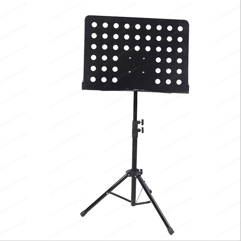 Supporto musicale professional - Musical Instrument Guzheng recensione e prezzo