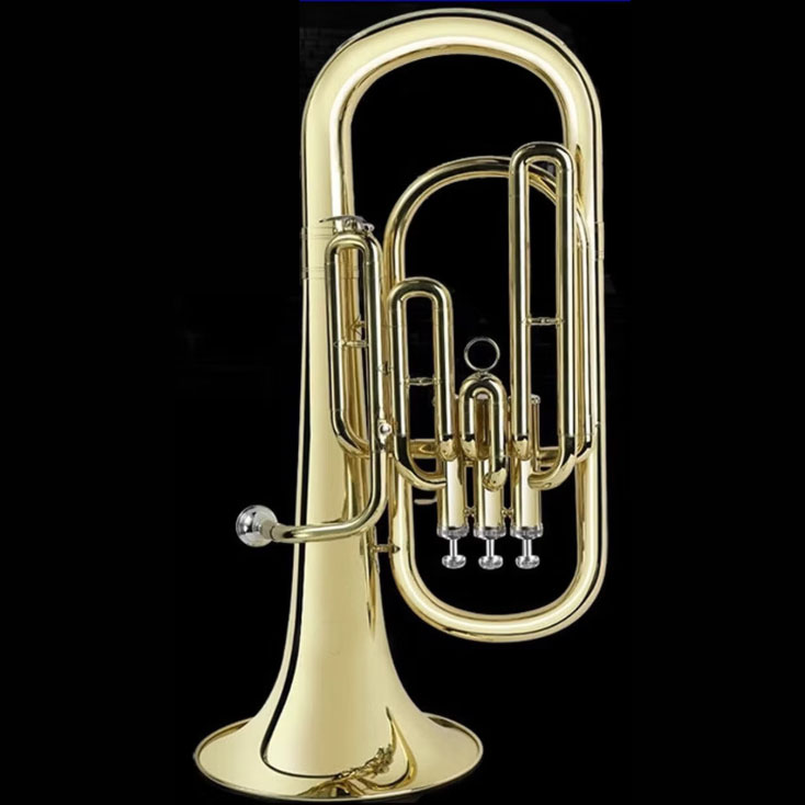 Eufonio in Sib Laccato Oro, 3+ - Musical Instrument Euphonium recensione e prezzo