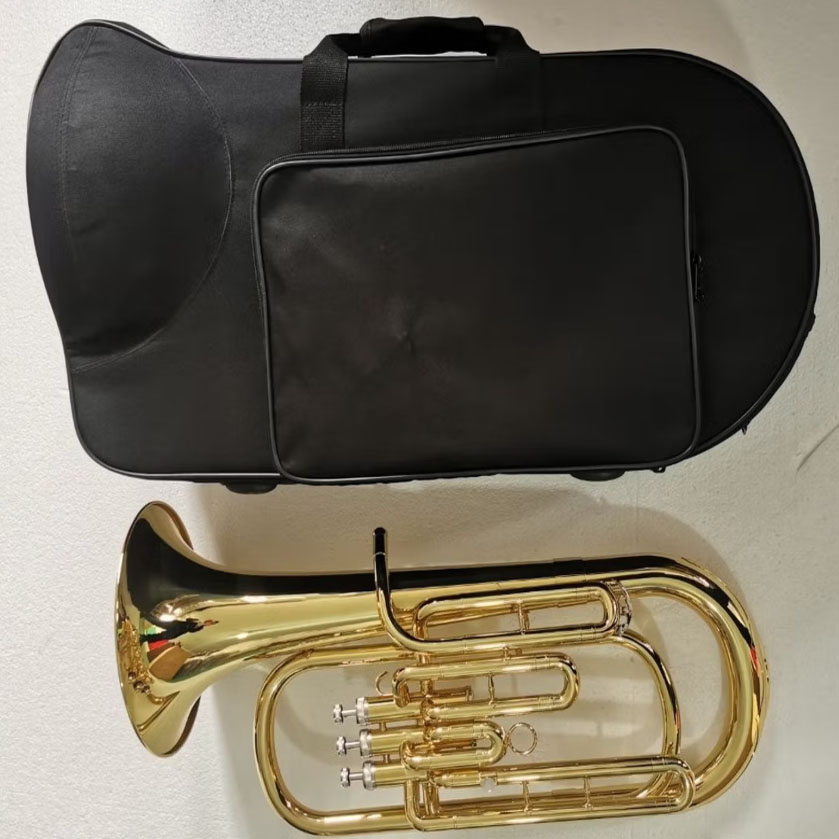 Eufonio in Sib Laccato Oro, 3+ - Musical Instrument Euphonium recensione e prezzo
