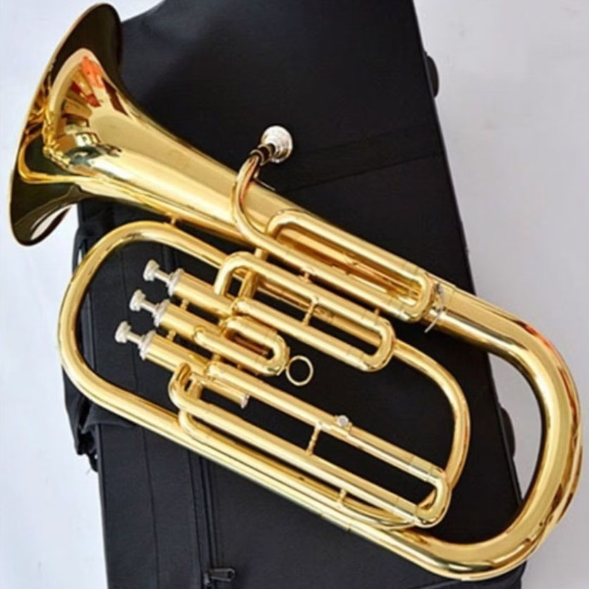 Eufonio in Sib Laccato Oro, 3+ - Musical Instrument Euphonium recensione e prezzo