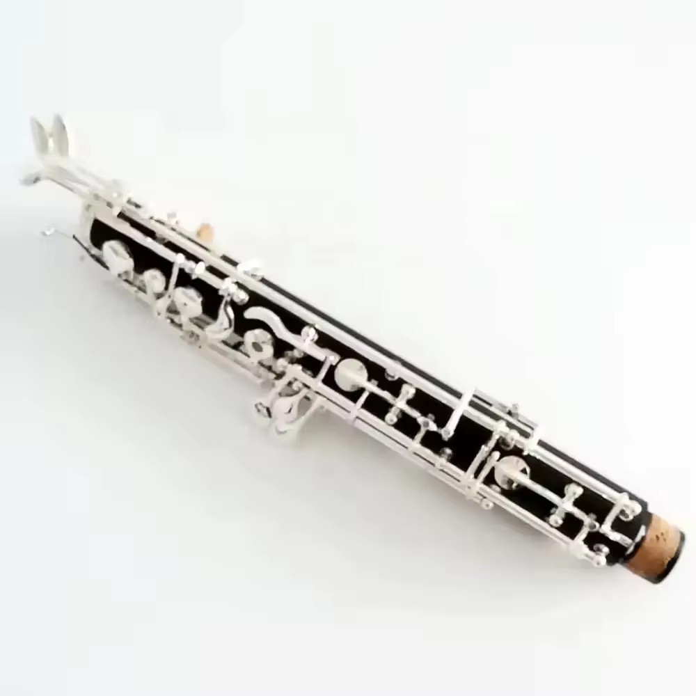 Oboe in bachelite placcato arg - Musical Instrument Oboe recensione e prezzo